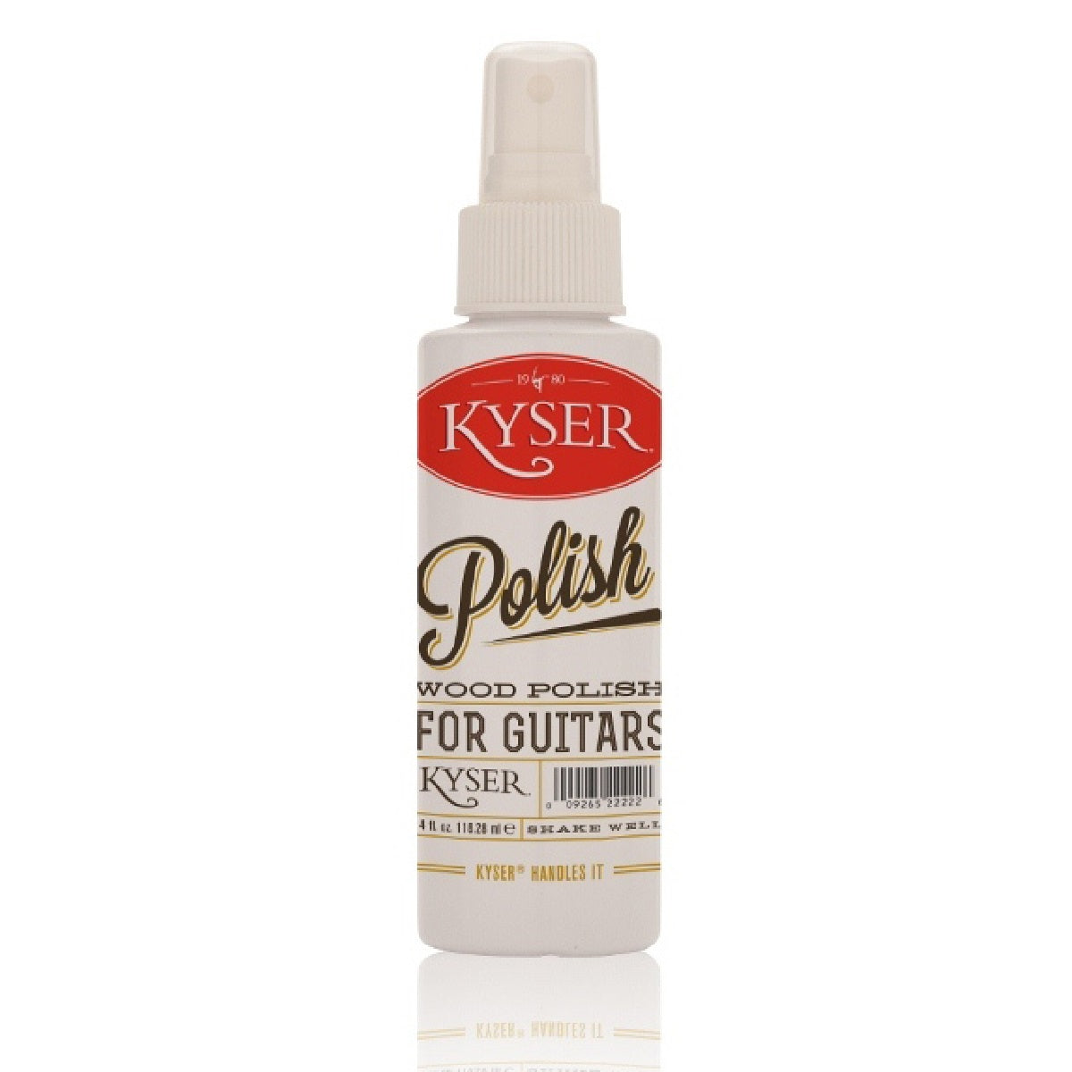 Kyser - KDS500 Guitar Polish