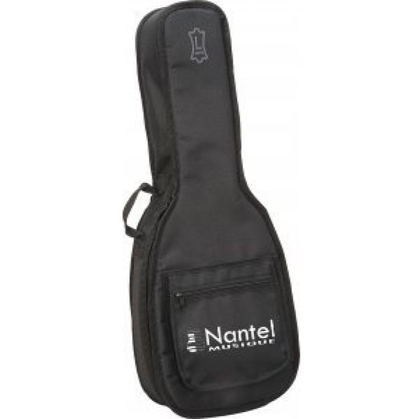 Acoustic Guitars