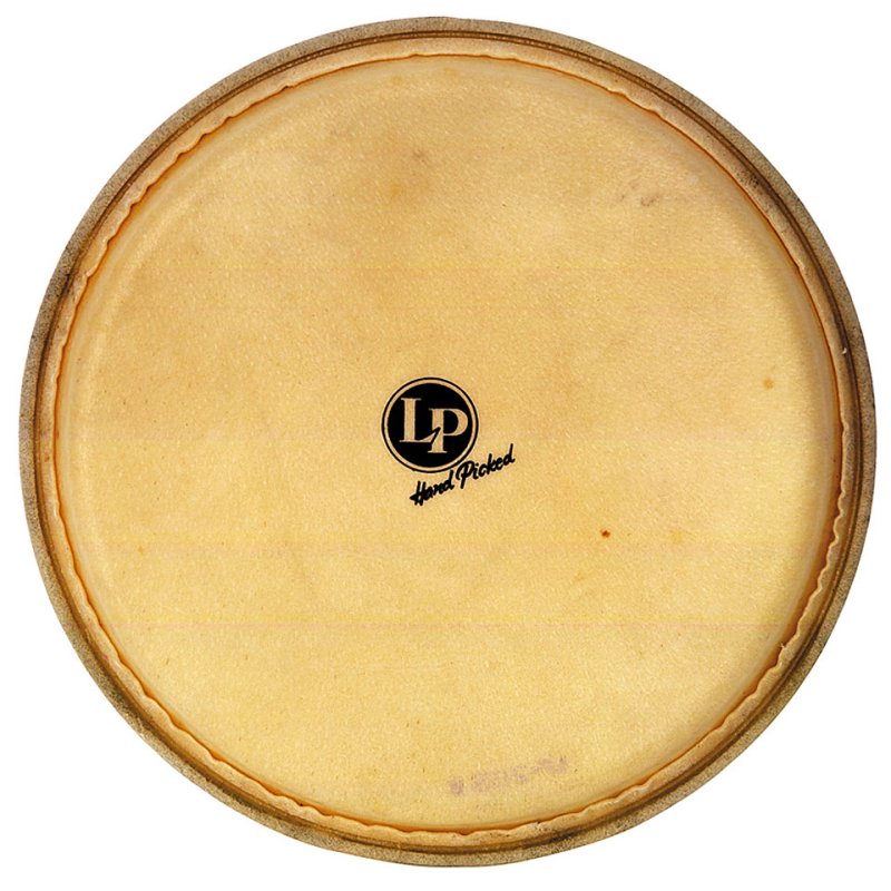 Latin Percussion - 11" Rawhide Quinto Head #LP274A