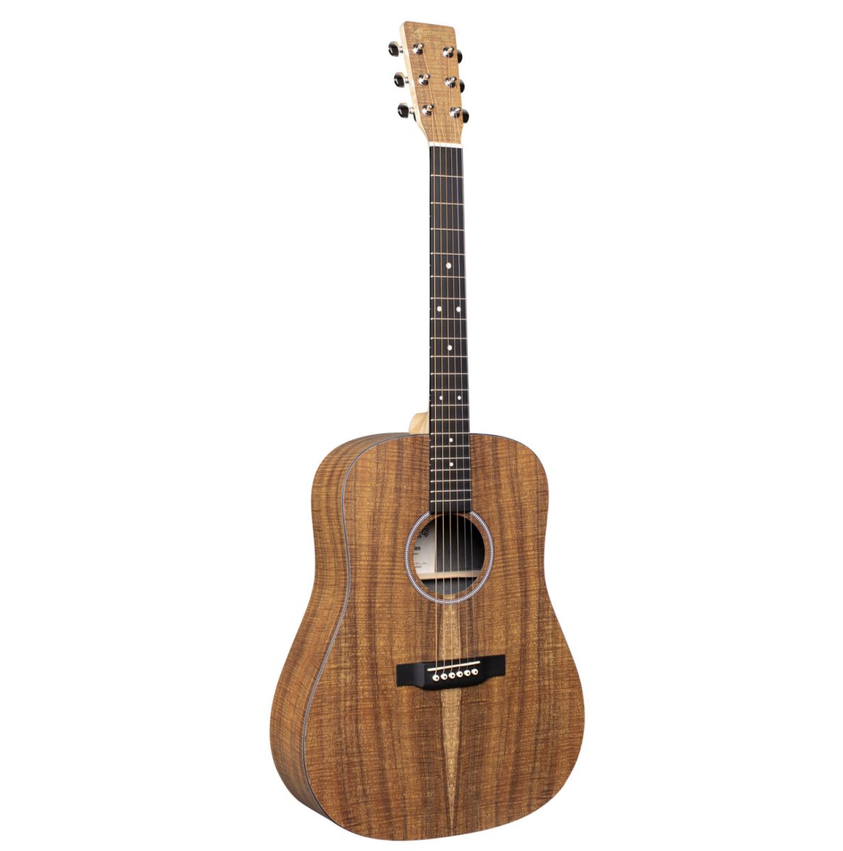 Martin-DX1E01-X-Series-Koa-Pattern-HPL-w-Gig-Bag