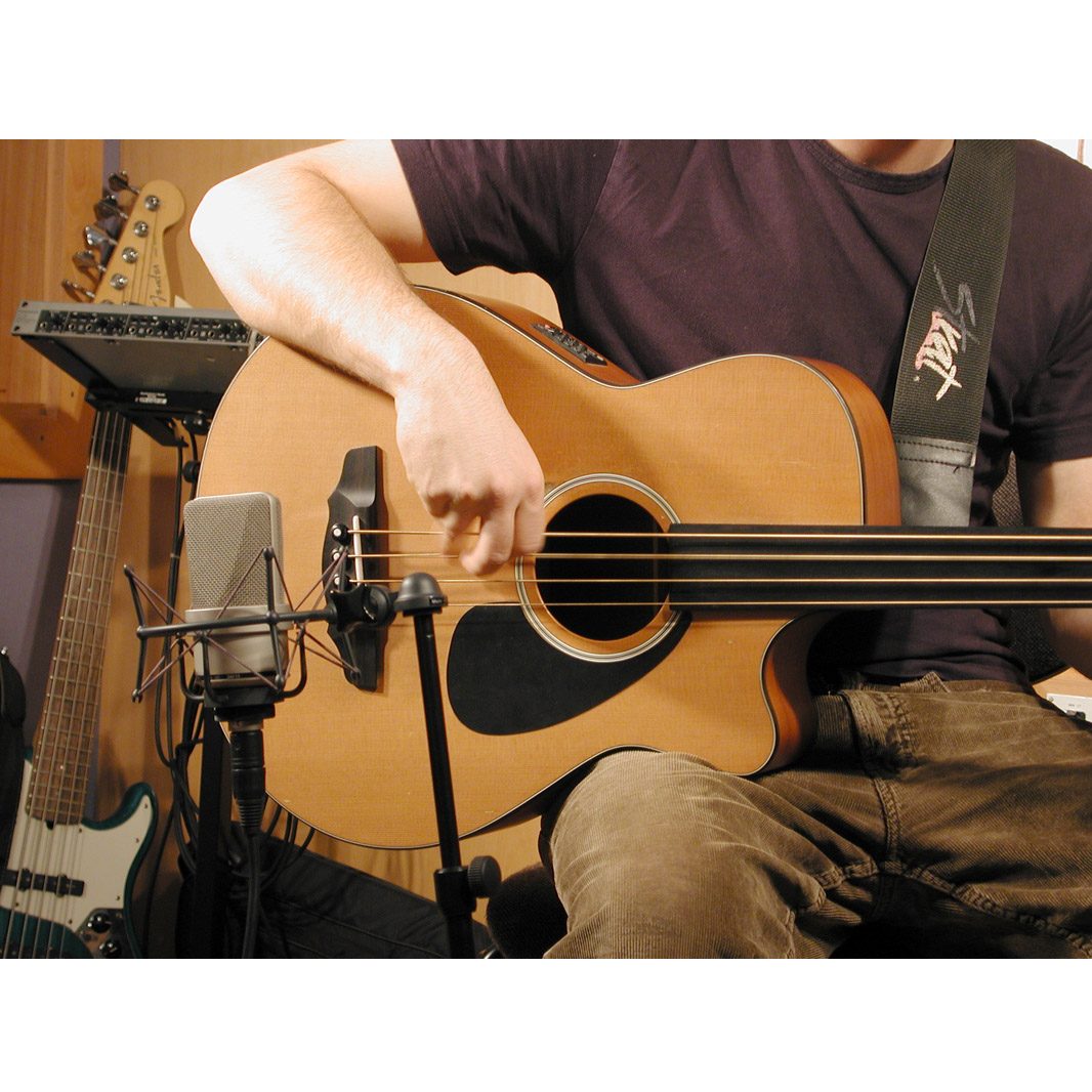 Neumann Studio Microphone TML103 Studio Set with acoustic bass