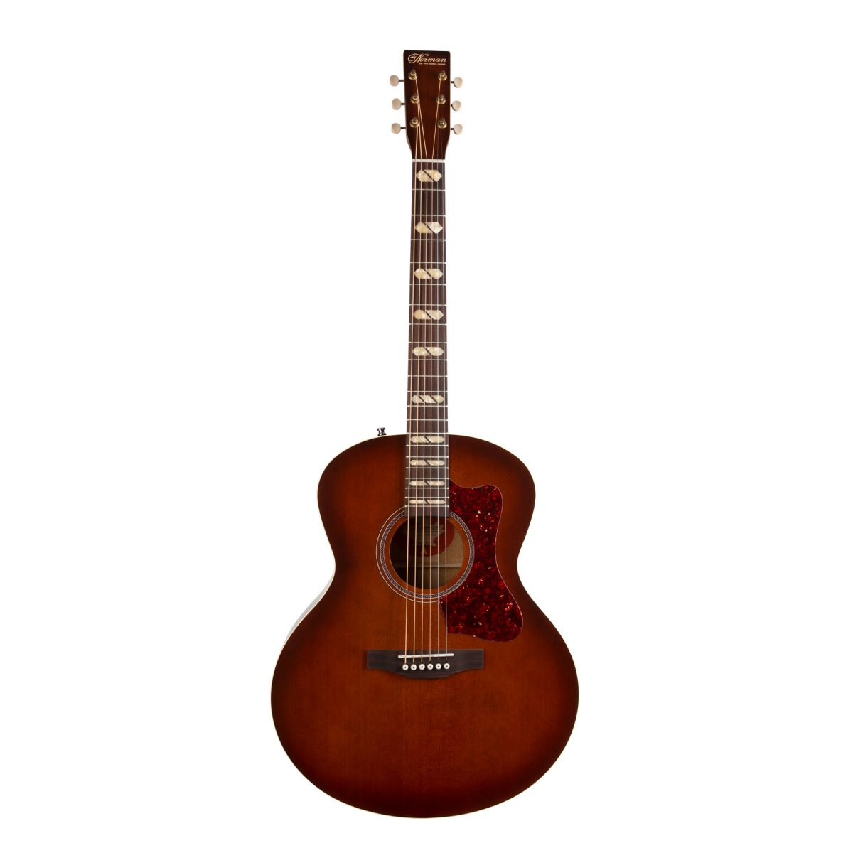 Norman ST30 Havana Burst Element front