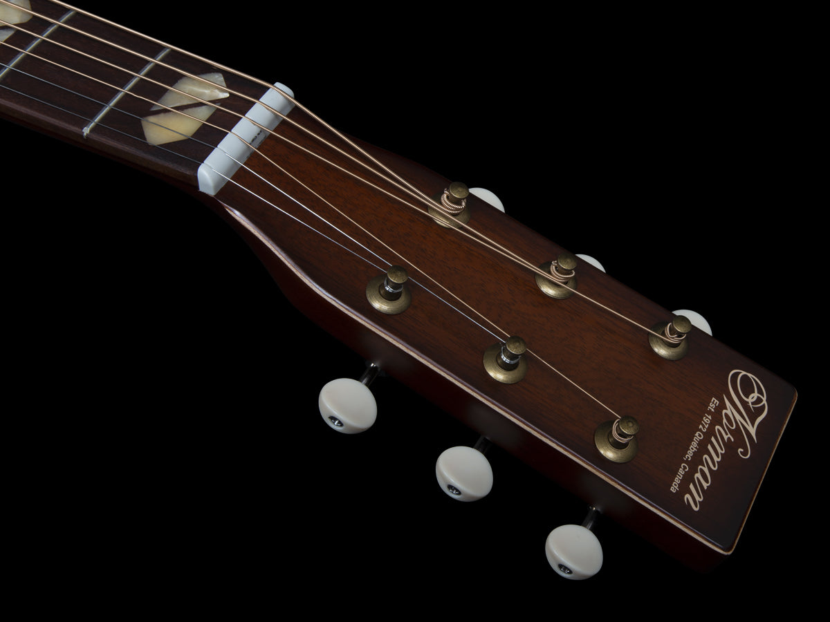 Norman ST30 Havana Burst Element head
