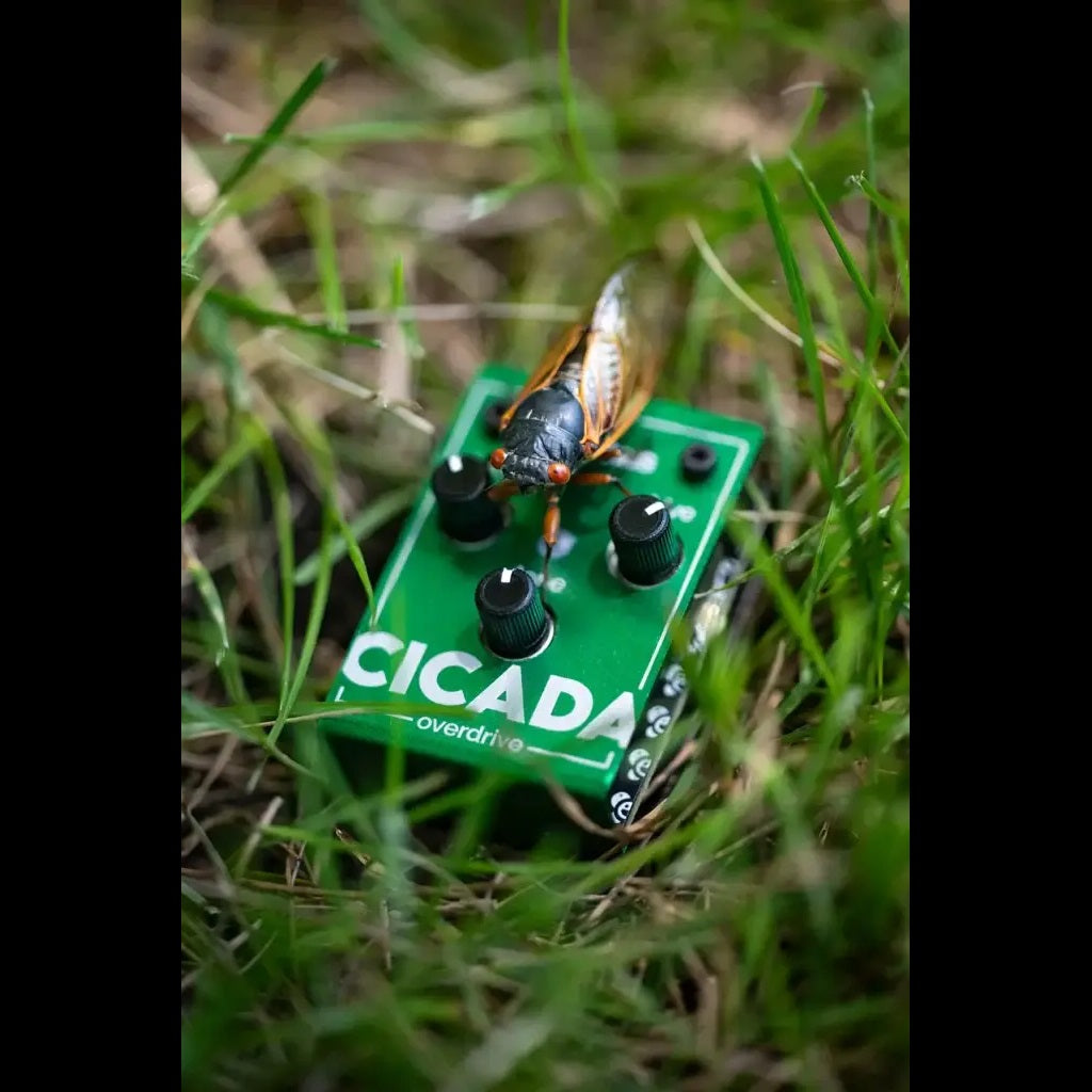 Olinthus - Cicada Miniature Overdrive