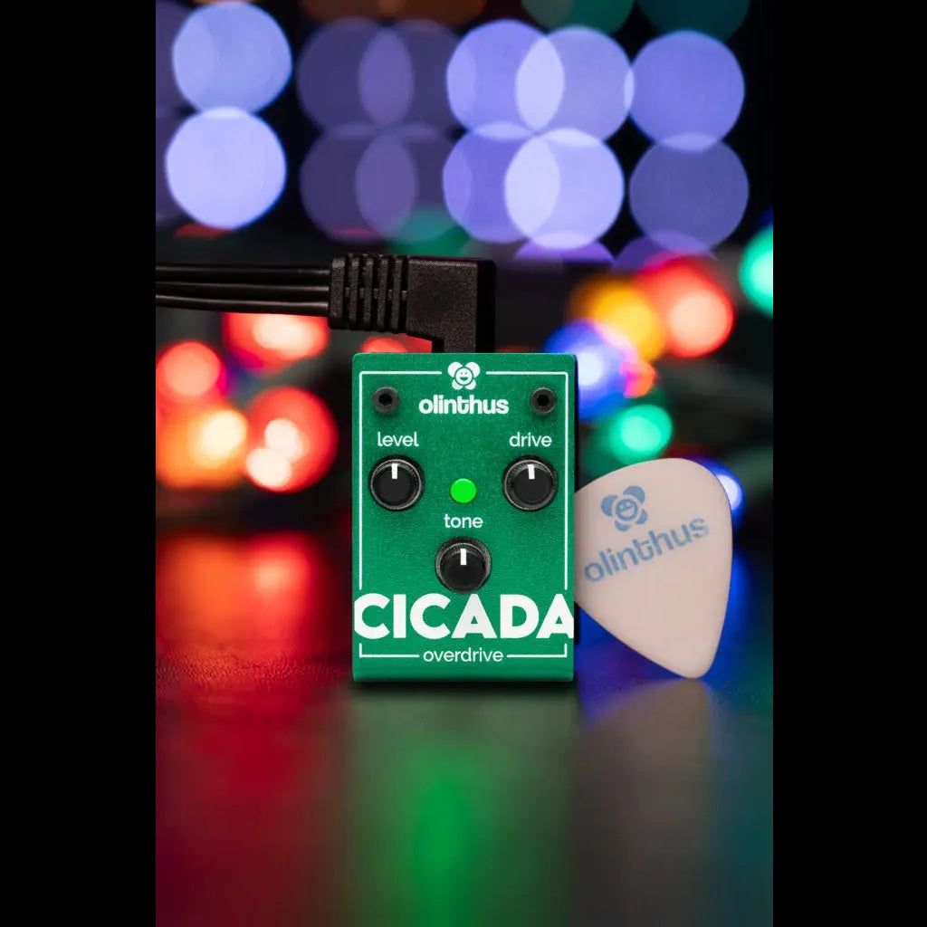Olinthus - Cicada Miniature Overdrive