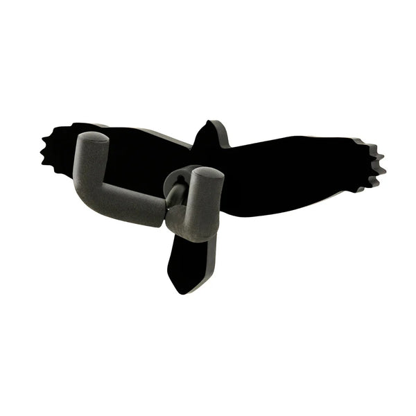 Guitar Accessories