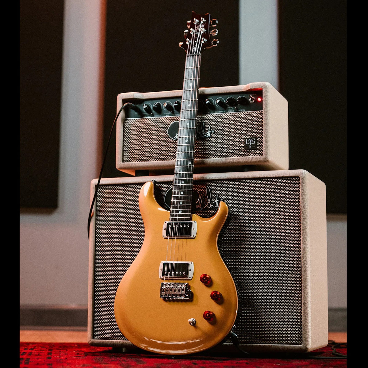 PRS Guitars - SE DGT Gold Top