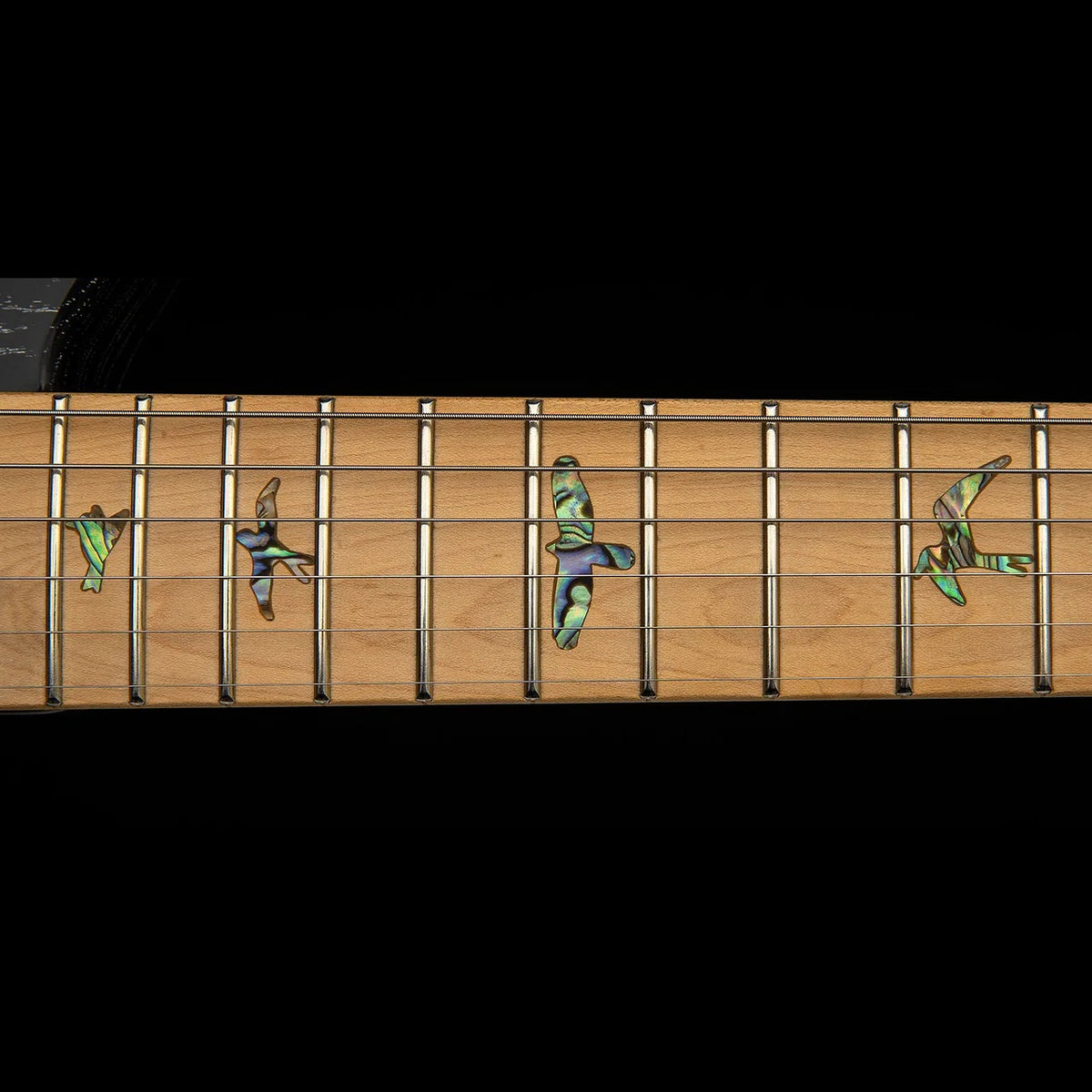 PRS Guitars - SE NF 53 Black Doghair