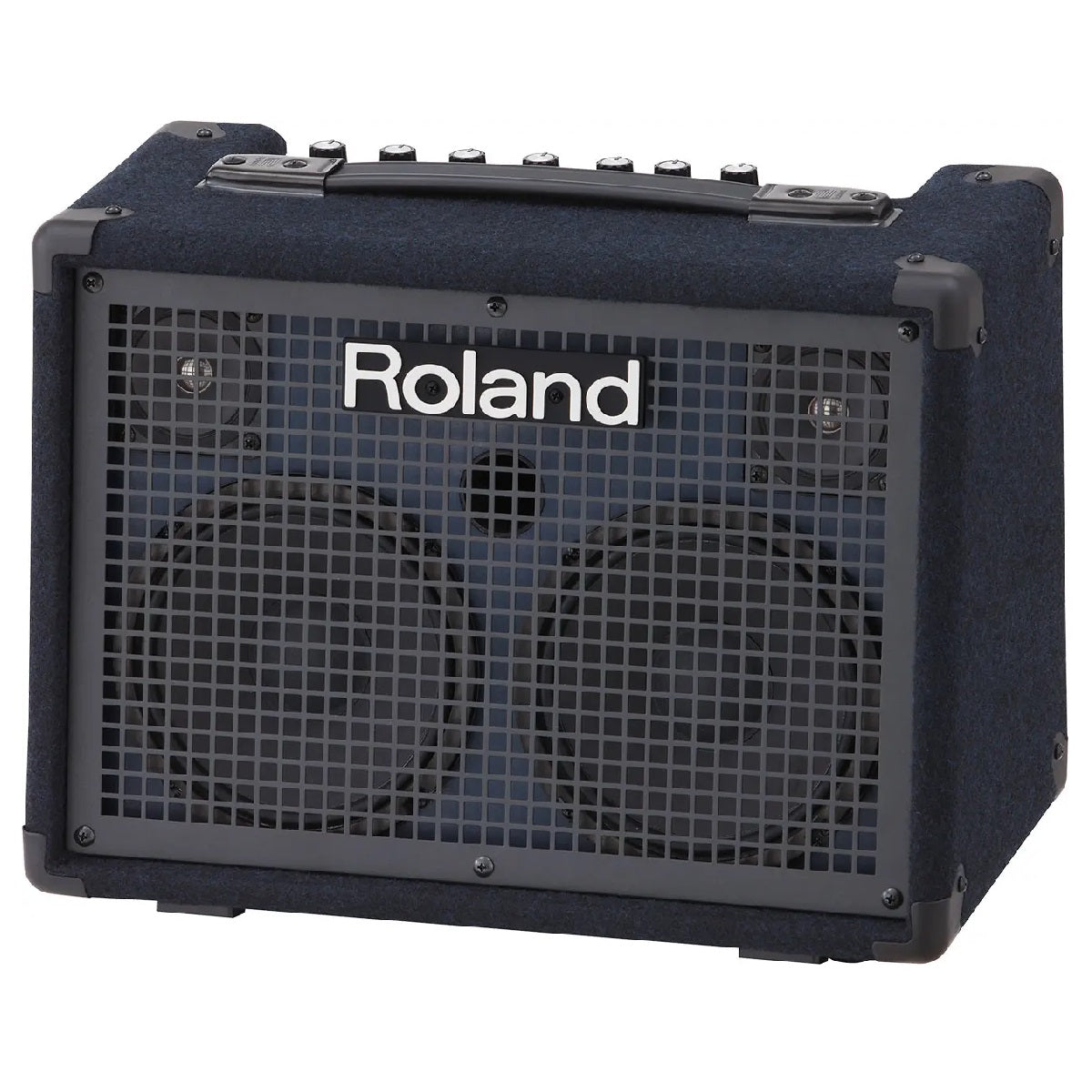 Roland - KC-220 Battery Powered Stereo Keyboard Amplifier