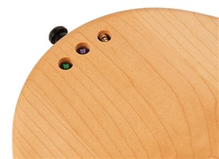 Seagull Merlin natural mahogany Guitars - 039098