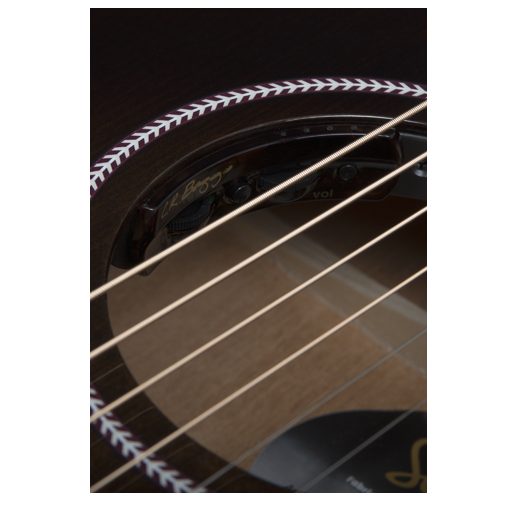 Seagull - Artist Mosaic Concert Hall - 050567 pickup