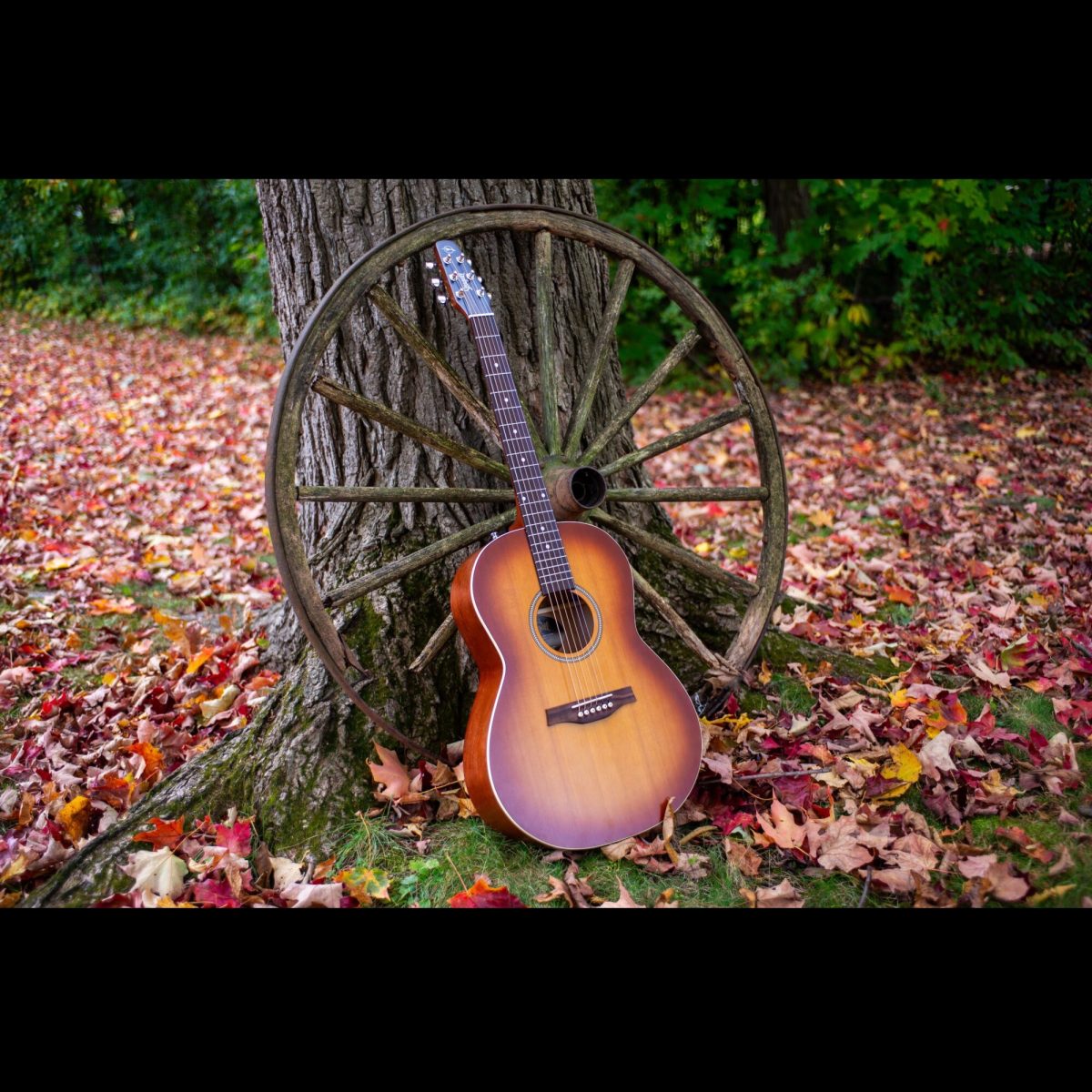 Seagull - Entourage Folk Rustic Burst #052547