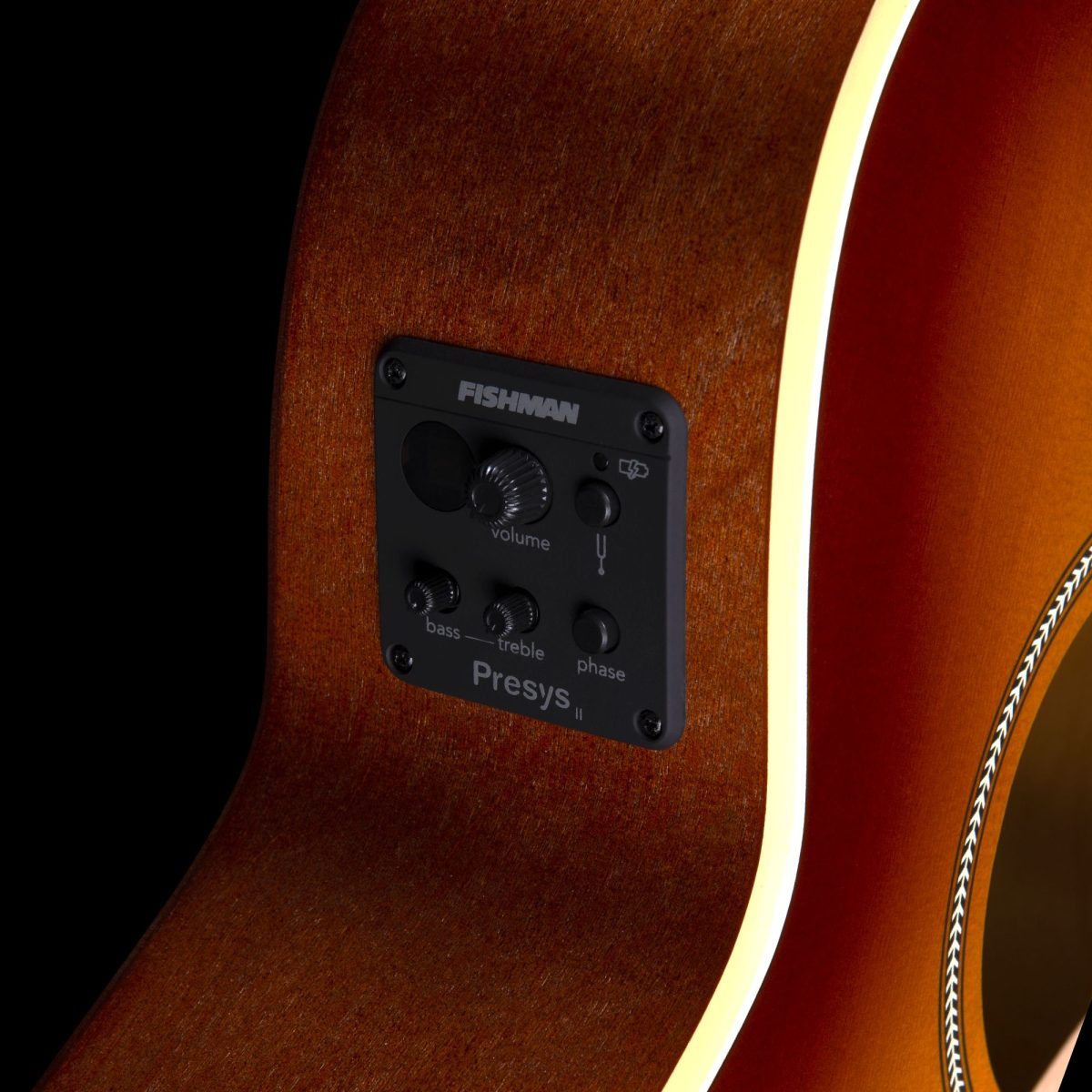 Seagull - Entourage Rustic Burst CH CW EQ #052653 — 4