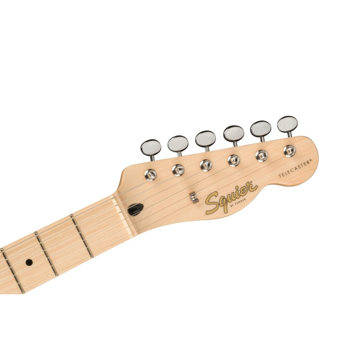 Squier - Paranormal Cabronita Te-0377020503-neck