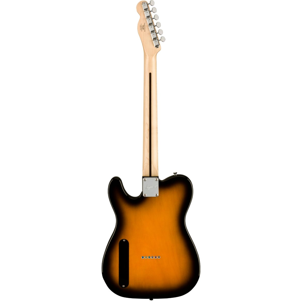 Squier - Paranormal Cabronita Te-0377020503ack