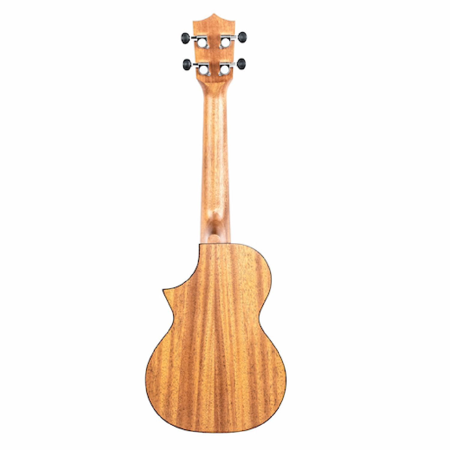 Twisted Wood Ember EM600 back