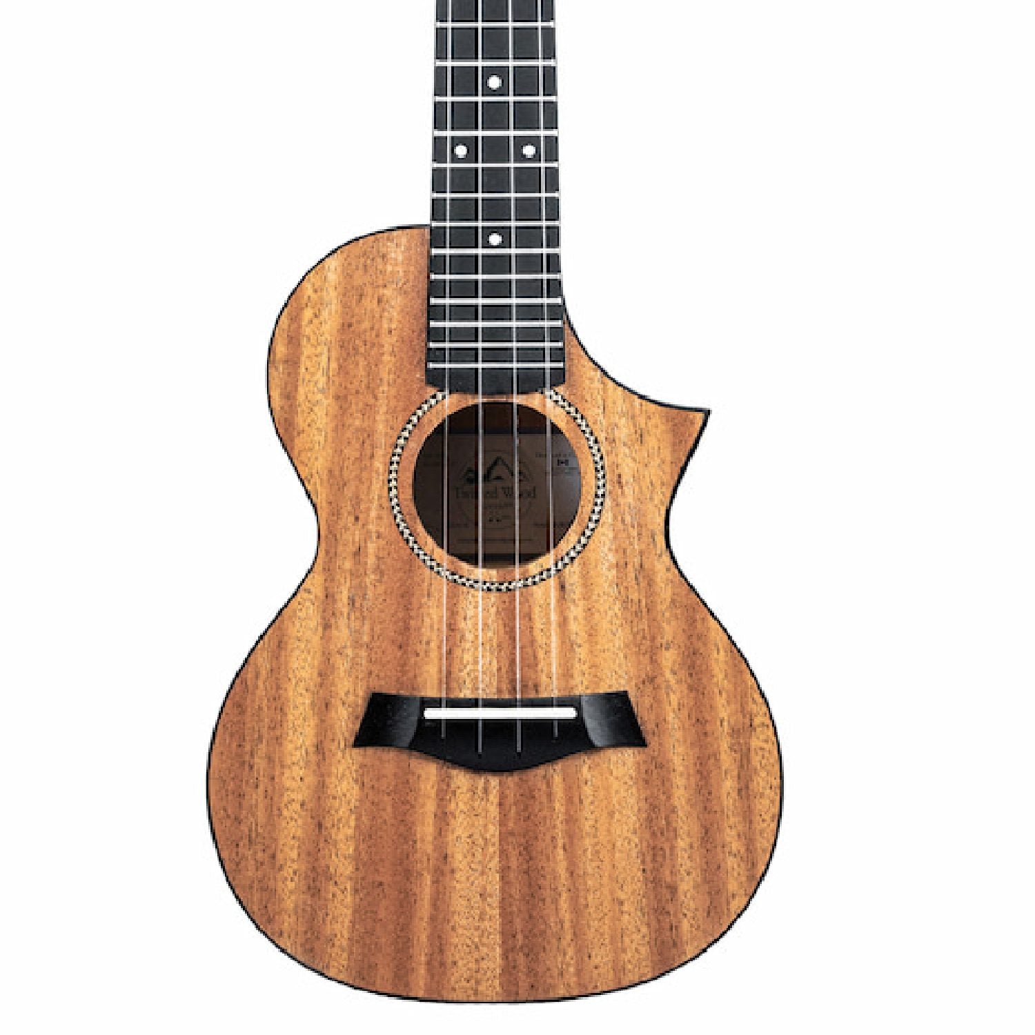 Twisted Wood Ember EM600 body