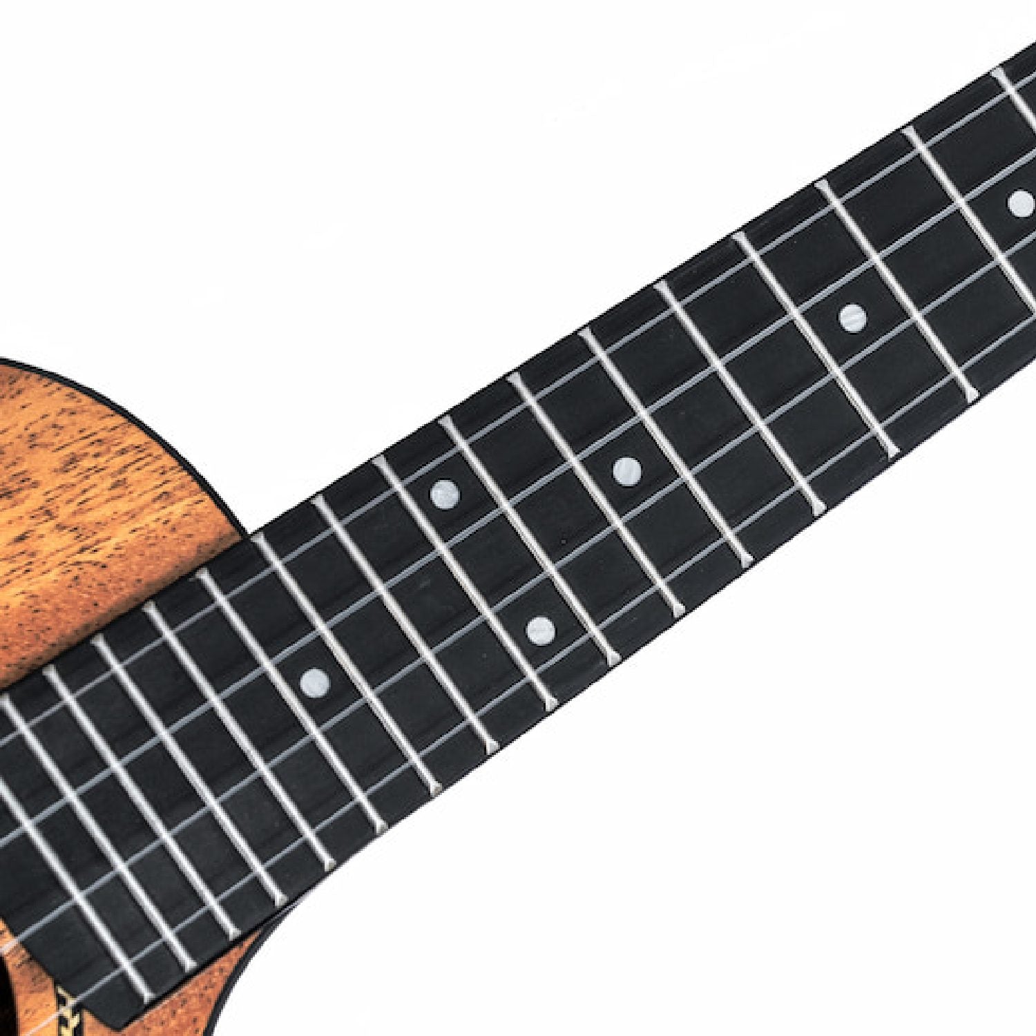 Twisted Wood Ember EM600 neck