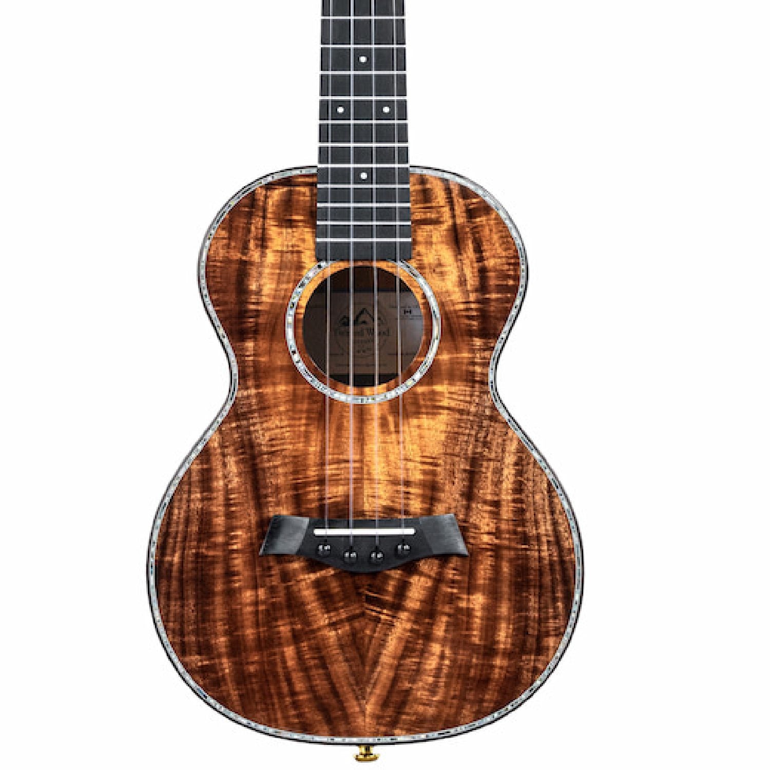 Twisted Wood KO2000 Ukulele body
