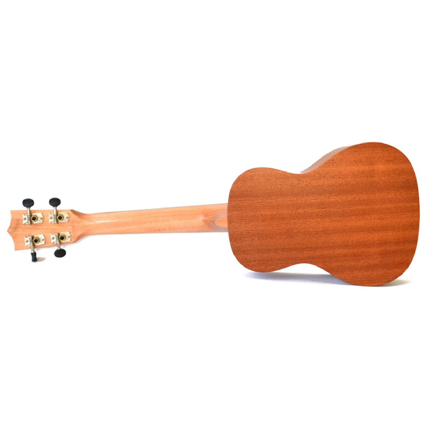 Twisted Wood Tyro Ukulele - TYO50 back