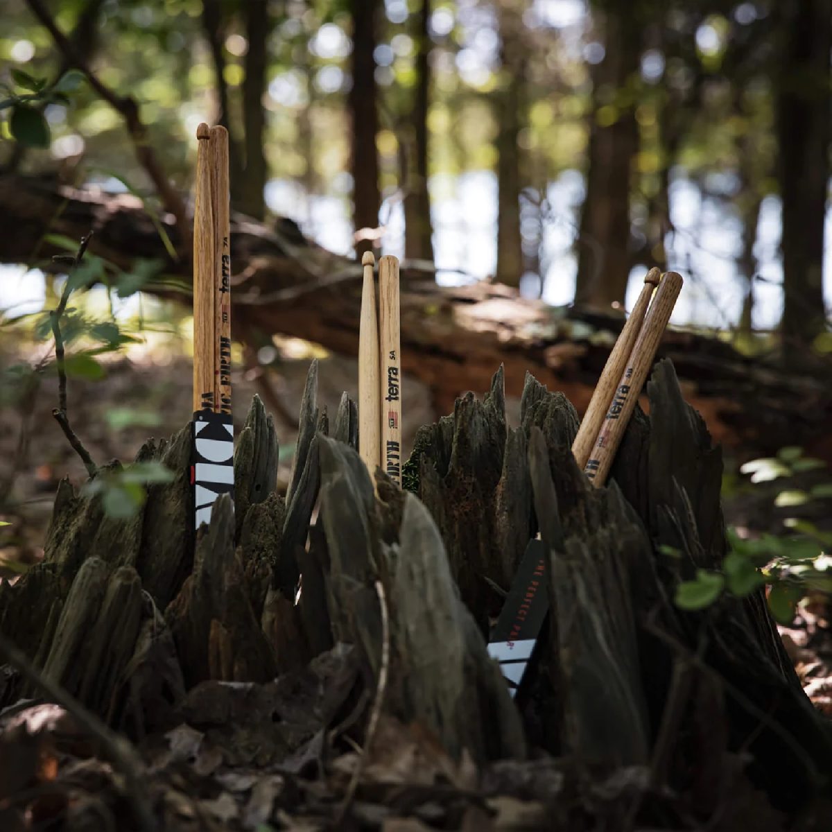 Vic Firth - 5AT Terra Series American Classic Drumsticks Wood