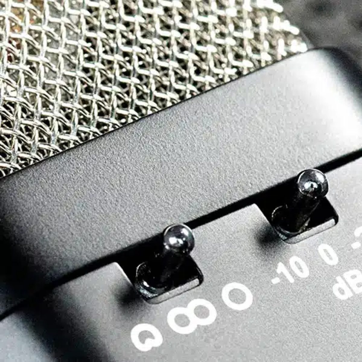 Warm Audio - WA-14 SP Large-Diaphragm Transformer-Balanced Condenser Microphone Stereo Pack Detail