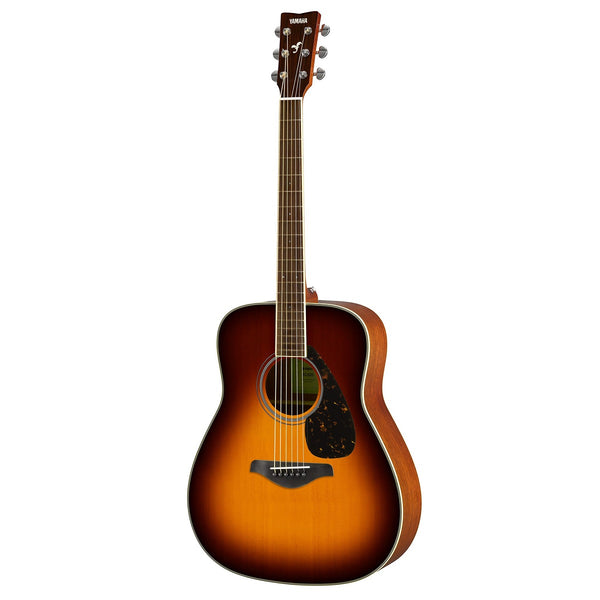 Acoustic Guitars