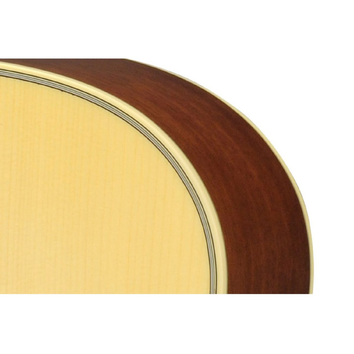 Yamaha - LS6M ARE - Small-Body Acoustic Guitar Binding